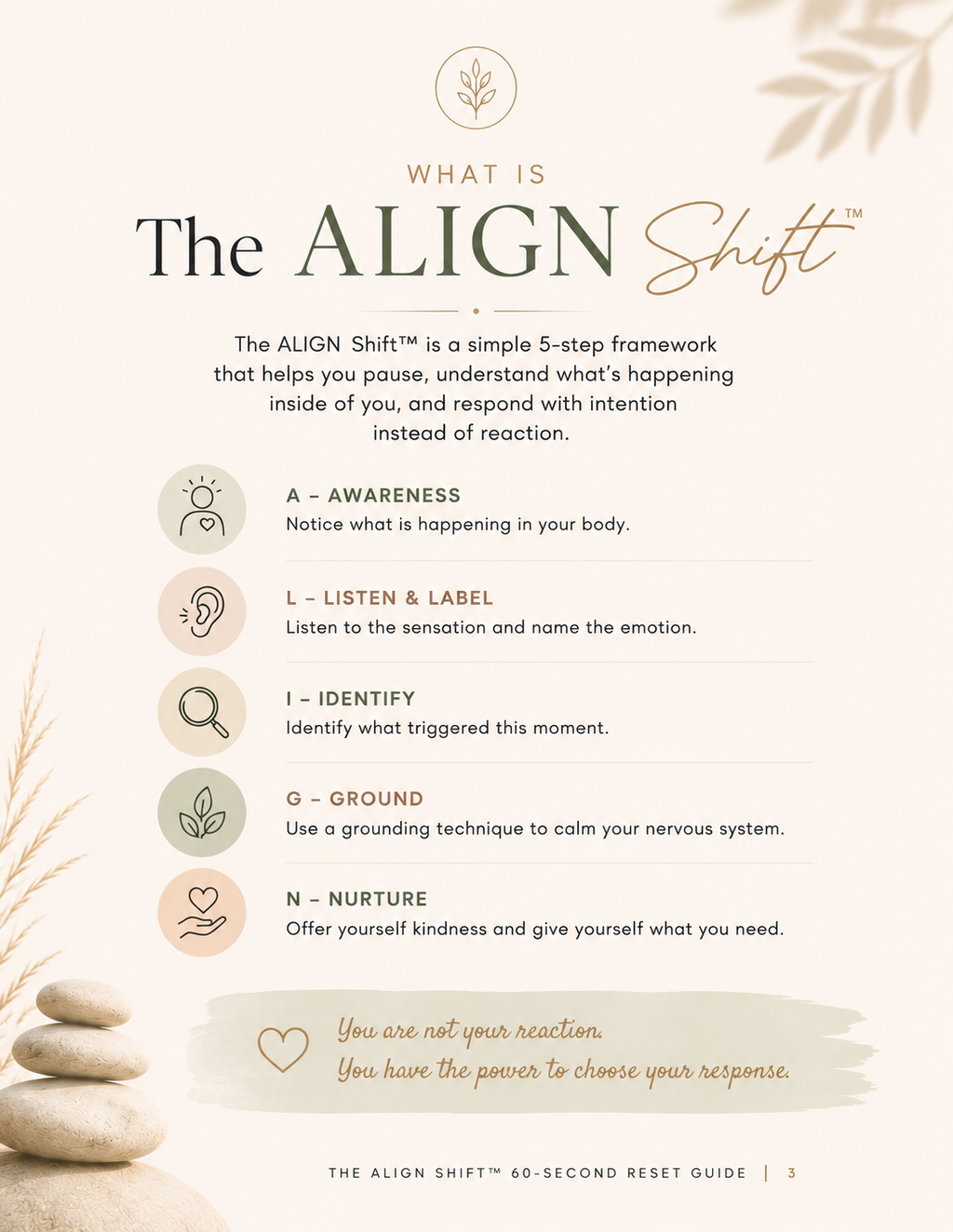 The ALIGN Shift™ Digital Workbook for Teachers